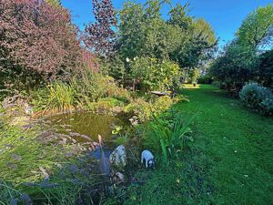 Pond- click for photo gallery